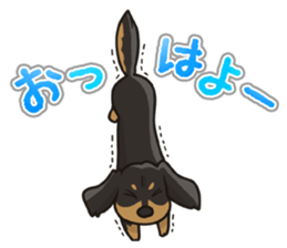 I Love Dachshund (Black Tan) sticker #8698622