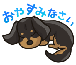 I Love Dachshund (Black Tan) sticker #8698623