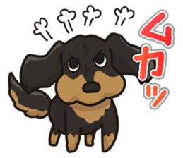 I Love Dachshund (Black Tan) sticker #8698626
