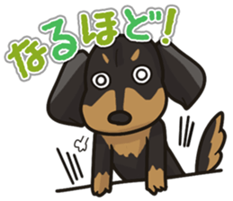 I Love Dachshund (Black Tan) sticker #8698635