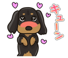 I Love Dachshund (Black Tan) sticker #8698636