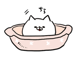 a white carefree cat sticker #8699035