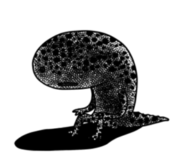 The Reminder of Red Salamander sticker #8699833