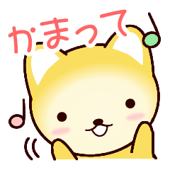 Pretty and strange dog