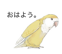 Pippi of the lovebird. sticker #8708137