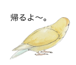 Pippi of the lovebird. sticker #8708142