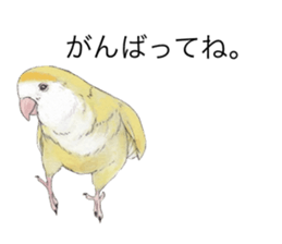Pippi of the lovebird. sticker #8708143