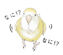 Pippi of the lovebird. sticker #8708154