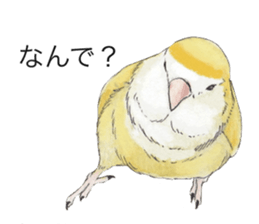 Pippi of the lovebird. sticker #8708155