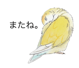 Pippi of the lovebird. sticker #8708157