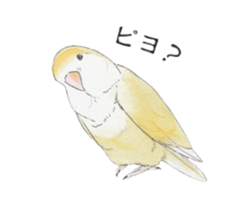 Pippi of the lovebird. sticker #8708168