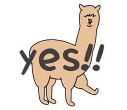 ALPACA COFFEE sticker #8710135