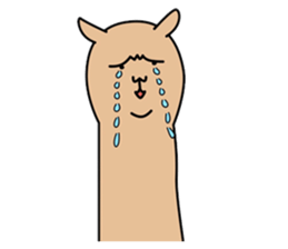 ALPACA COFFEE sticker #8710148