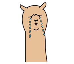 ALPACA COFFEE sticker #8710148