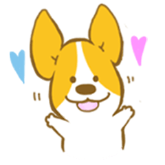 corgi taro3