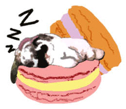 FuFu's Family sticker #8713070