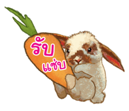 FuFu's Family sticker #8713075