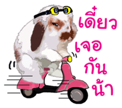 FuFu's Family sticker #8713082