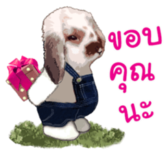 FuFu's Family sticker #8713086