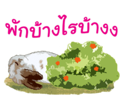 FuFu's Family sticker #8713088