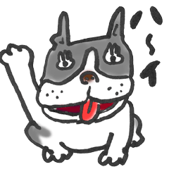 The name of the Boston terrier is Yoneko