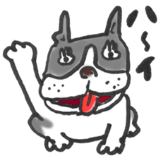 The name of the Boston terrier is Yoneko sticker #8717212