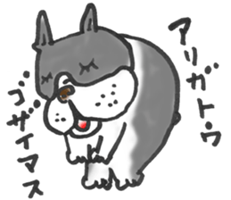 The name of the Boston terrier is Yoneko sticker #8717221