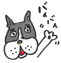 The name of the Boston terrier is Yoneko sticker #8717225
