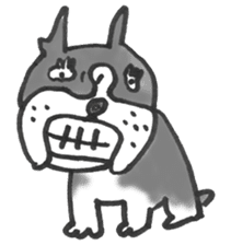 The name of the Boston terrier is Yoneko sticker #8717229