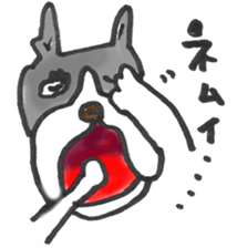 The name of the Boston terrier is Yoneko sticker #8717235