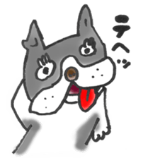 The name of the Boston terrier is Yoneko sticker #8717238