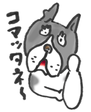 The name of the Boston terrier is Yoneko sticker #8717239