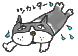 The name of the Boston terrier is Yoneko sticker #8717242