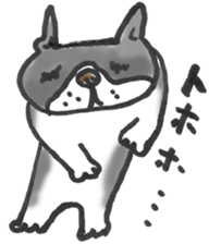 The name of the Boston terrier is Yoneko sticker #8717243