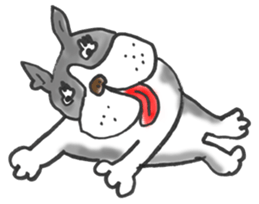 The name of the Boston terrier is Yoneko sticker #8717245