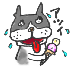 The name of the Boston terrier is Yoneko sticker #8717246
