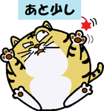 mr.doraneko sticker #8717673