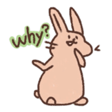 kamyu's english rabbit stickers sticker #8718041