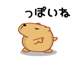 Kyapibara 3 sticker #8723267