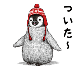 winter's  co penguin sticker #8725378