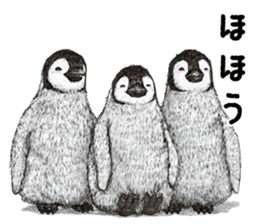 winter's  co penguin sticker #8725388