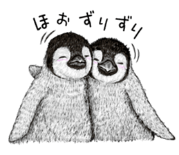 winter's  co penguin sticker #8725389