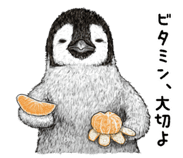 winter's  co penguin sticker #8725398