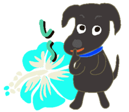 Gaju and Fuku and his brothers in Hawaii sticker #8725470