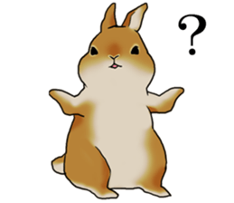 sassy and pretty rabbit sticker #8726250