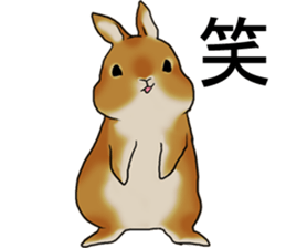 sassy and pretty rabbit sticker #8726252