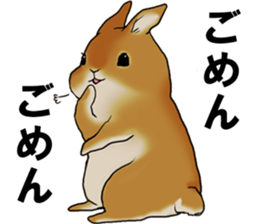 sassy and pretty rabbit sticker #8726254