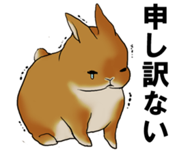 sassy and pretty rabbit sticker #8726255