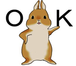 sassy and pretty rabbit sticker #8726257