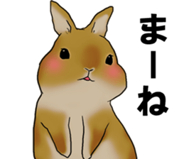 sassy and pretty rabbit sticker #8726265